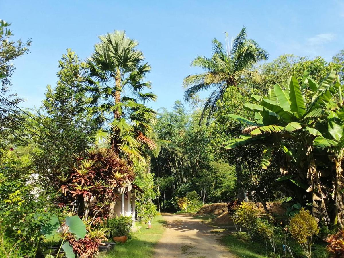 Plai Phraya Suan Bang Bon Guest House מראה חיצוני תמונה