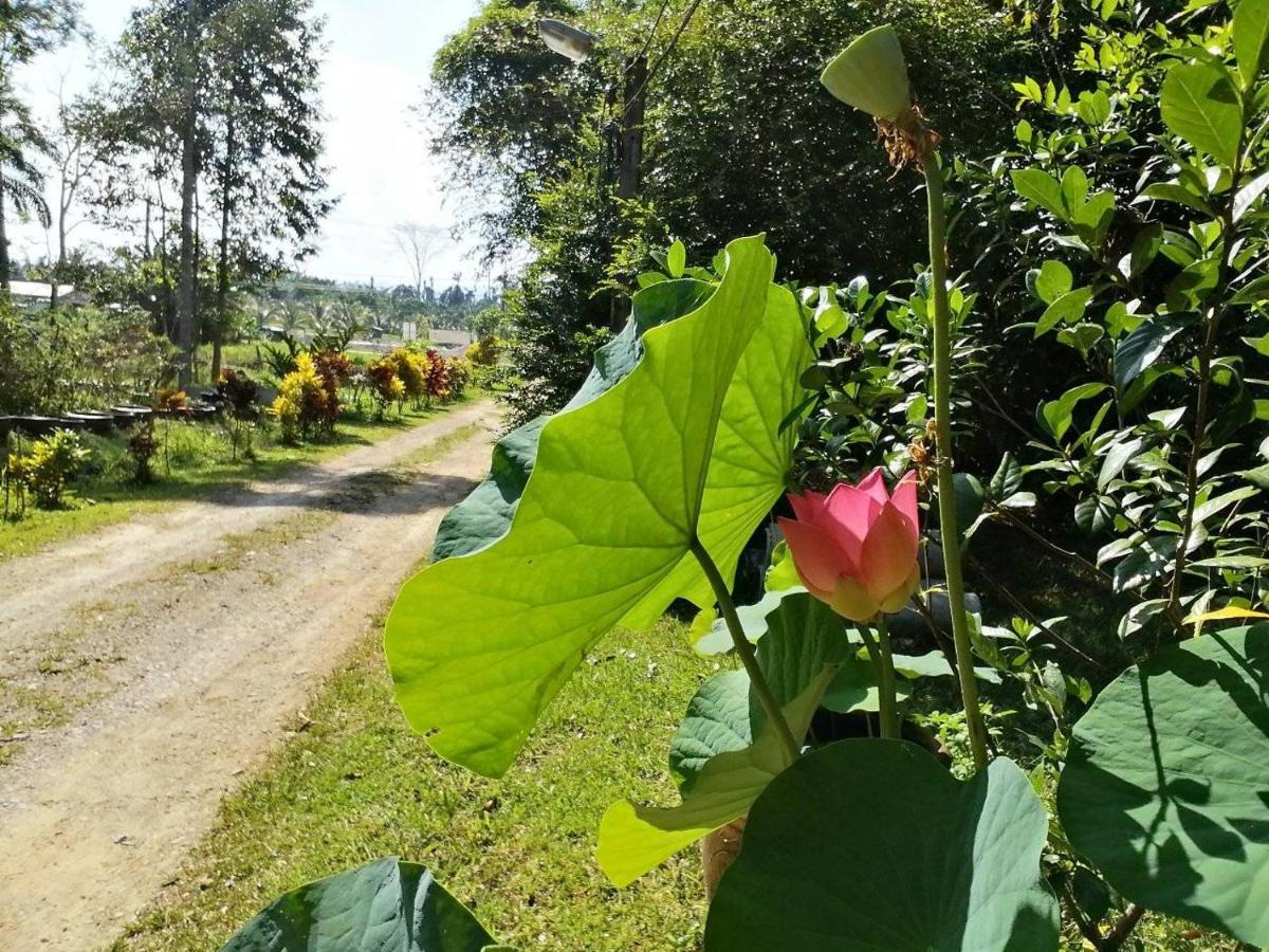 Plai Phraya Suan Bang Bon Guest House מראה חיצוני תמונה
