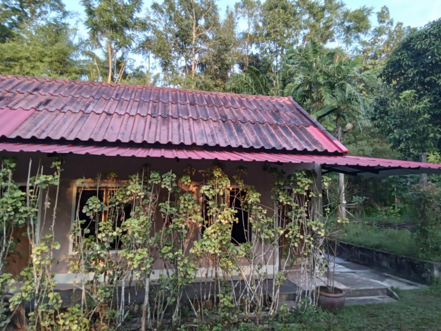 Plai Phraya Suan Bang Bon Guest House מראה חיצוני תמונה