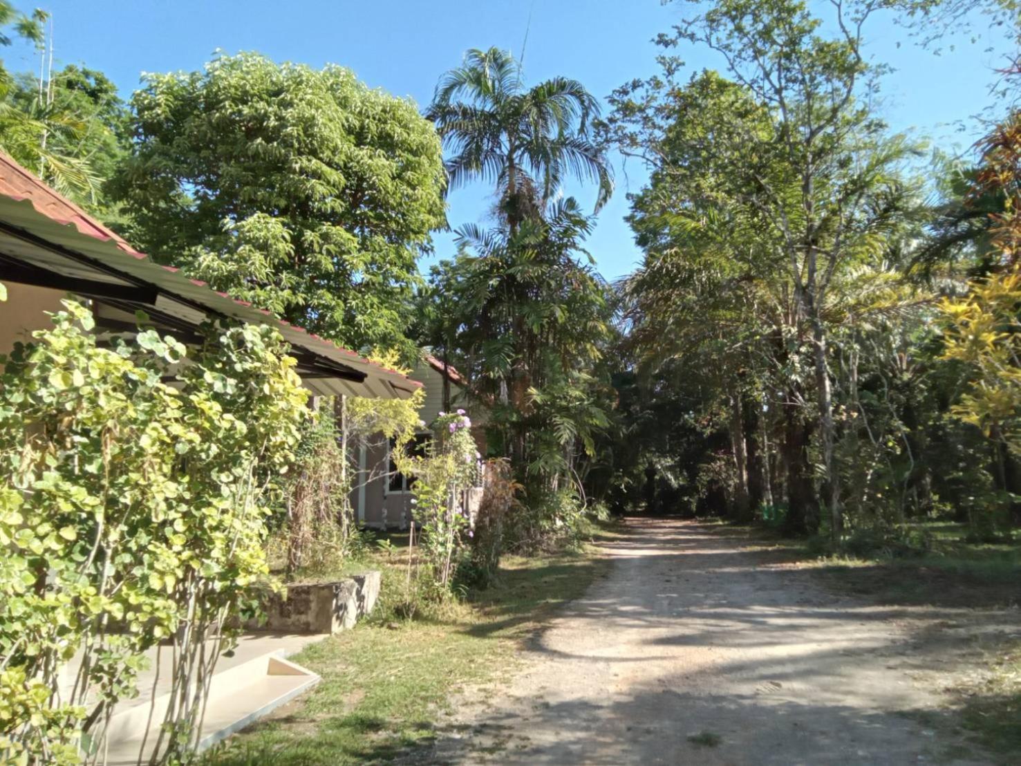 Plai Phraya Suan Bang Bon Guest House מראה חיצוני תמונה