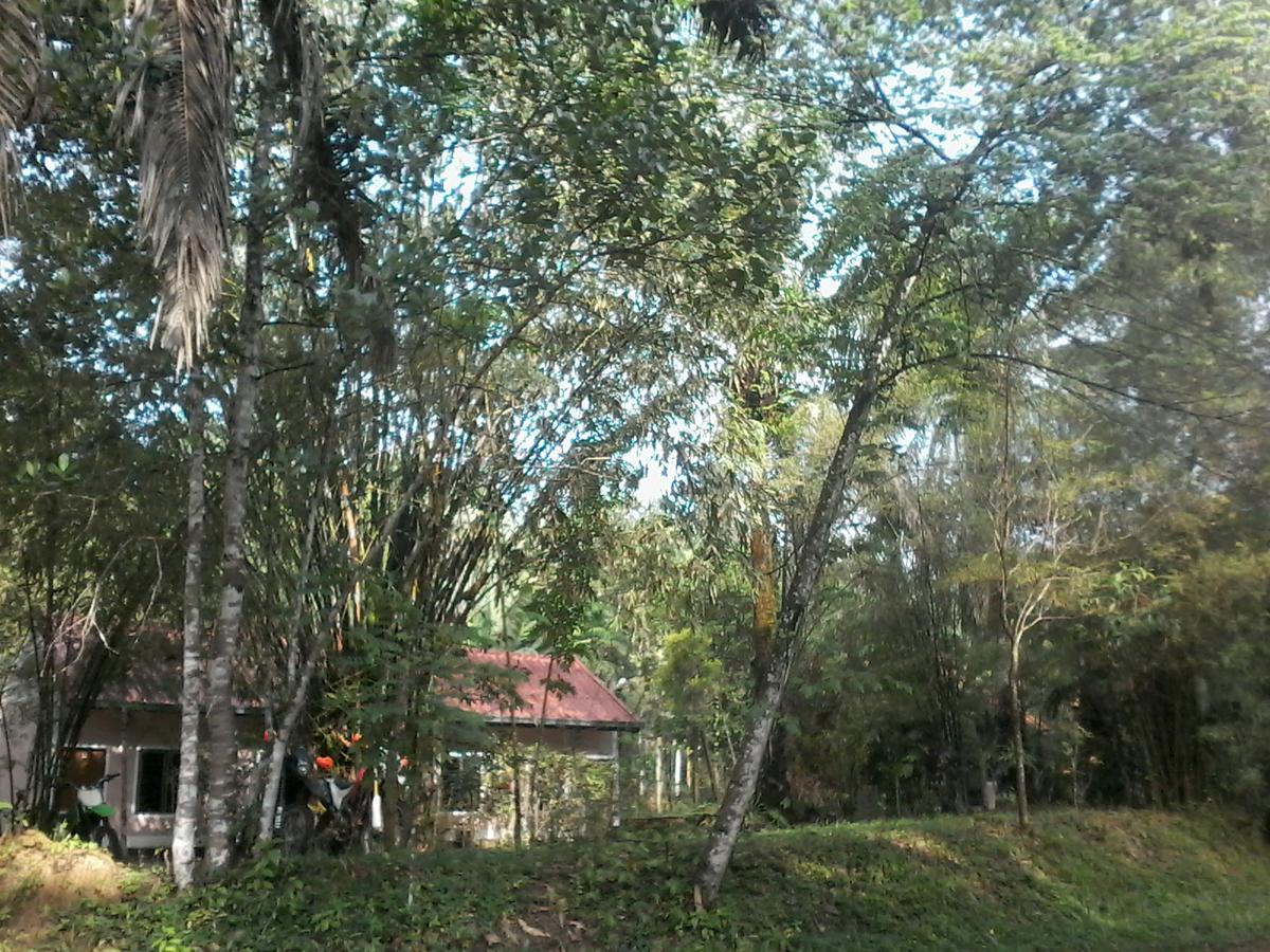Plai Phraya Suan Bang Bon Guest House מראה חיצוני תמונה