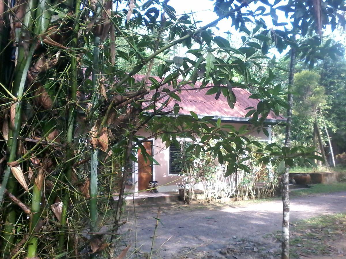 Plai Phraya Suan Bang Bon Guest House מראה חיצוני תמונה