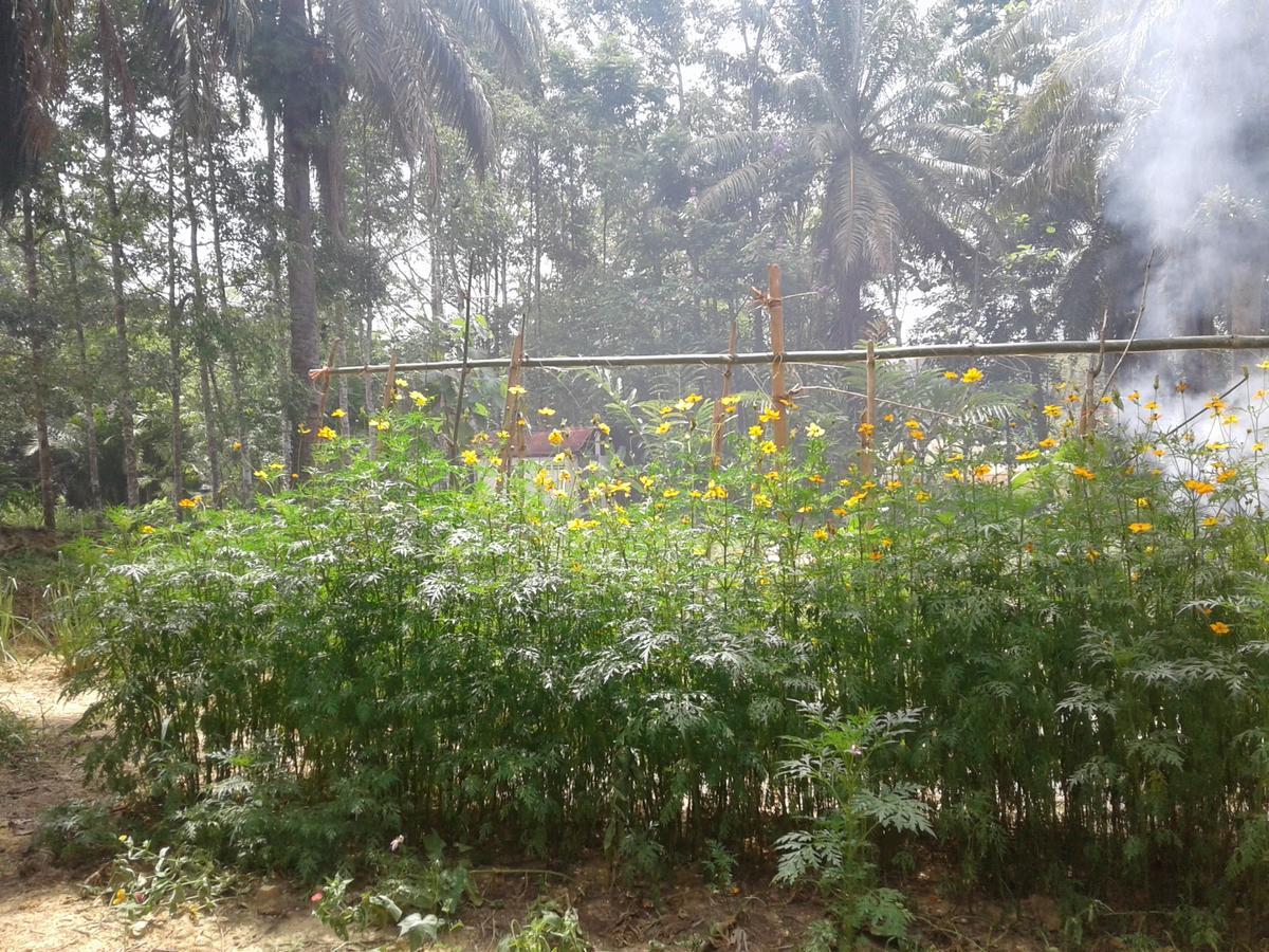 Plai Phraya Suan Bang Bon Guest House מראה חיצוני תמונה