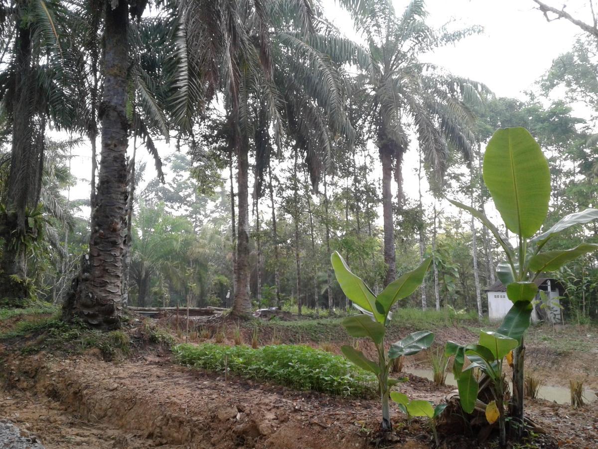 Plai Phraya Suan Bang Bon Guest House מראה חיצוני תמונה
