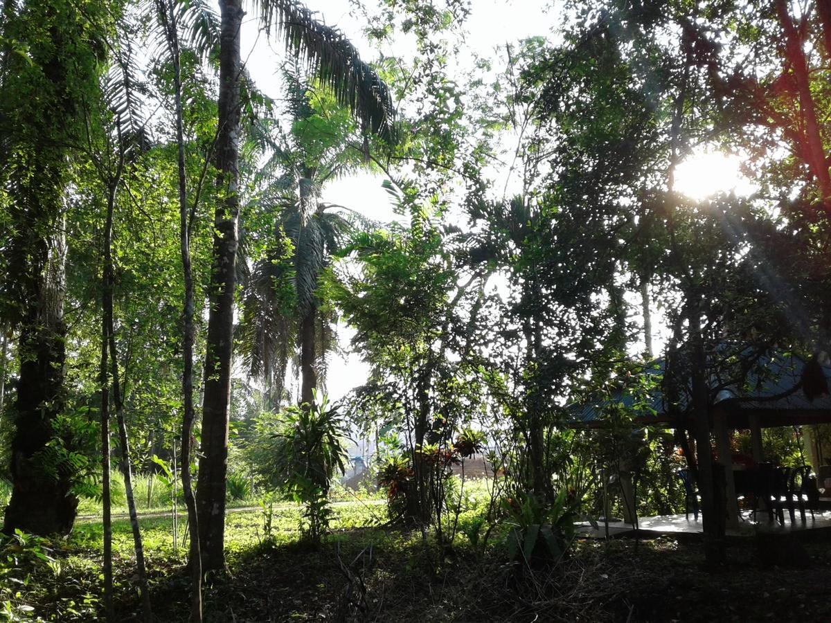 Plai Phraya Suan Bang Bon Guest House מראה חיצוני תמונה