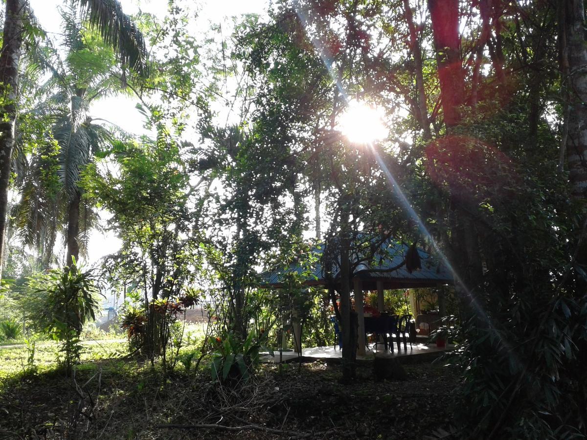 Plai Phraya Suan Bang Bon Guest House מראה חיצוני תמונה